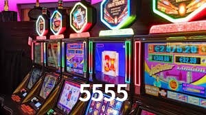 Programa VIP 5555